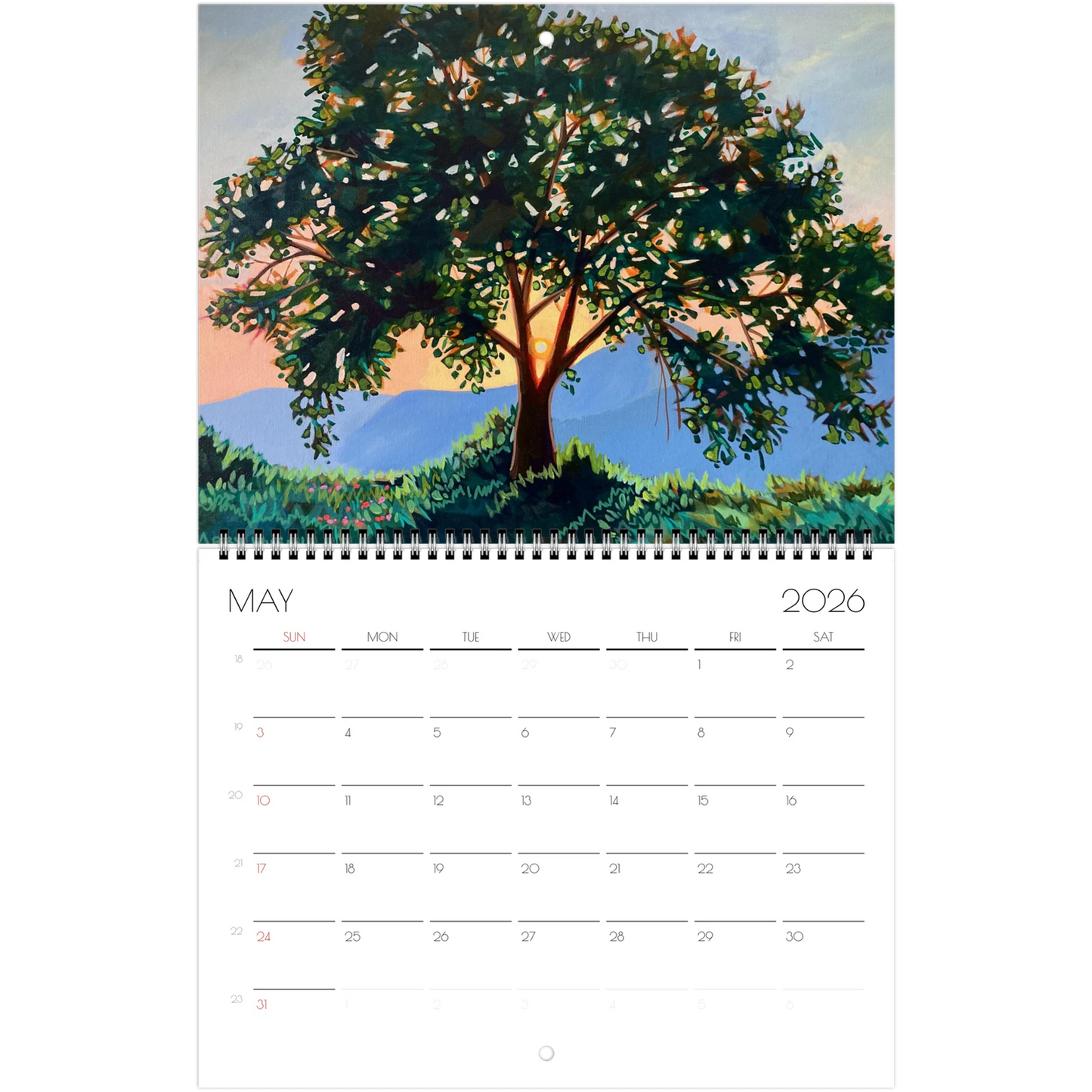 2126872c-b70c-4965-a97b-5a389753d1be