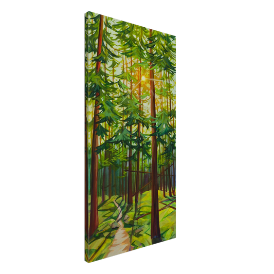 8e595fe4-6f1a-4637-bda3-0b6fec7fe504