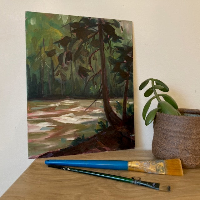 Study #7 - Wilson Creek