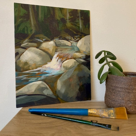 Study #8 - Kokanee Creek