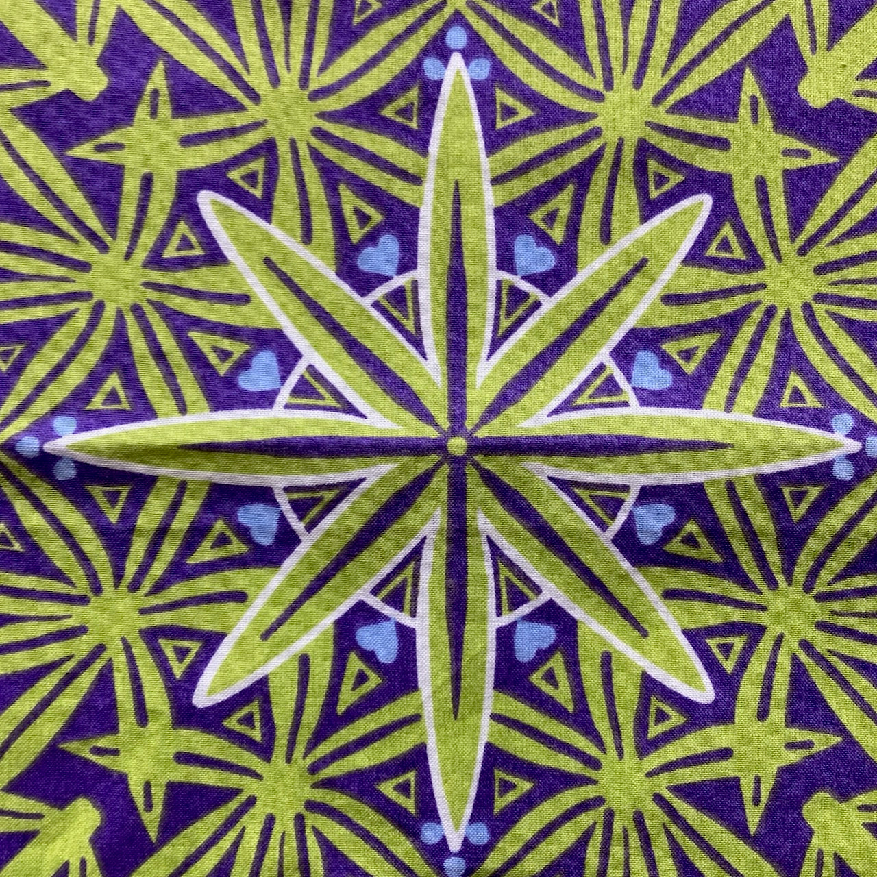 Mountain Meadow Bandana